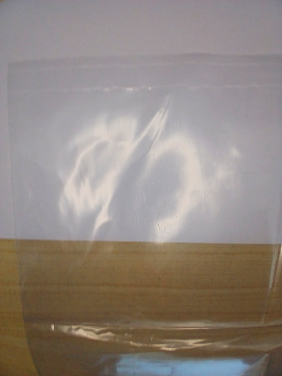 bolsa prepicado transparente 2