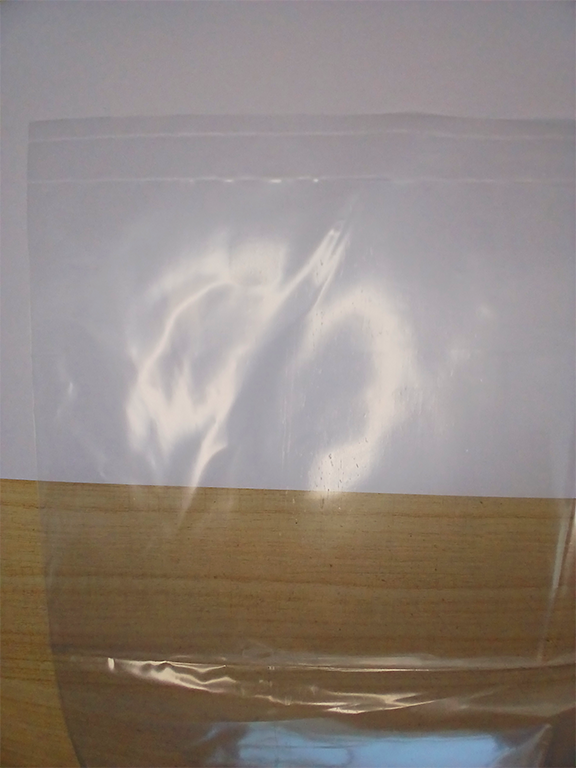 bolsa prepicado transparente