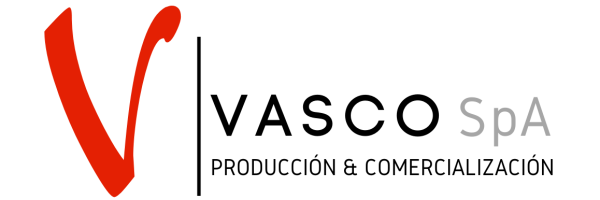 Vasco spa LOGO PLÁSTICO